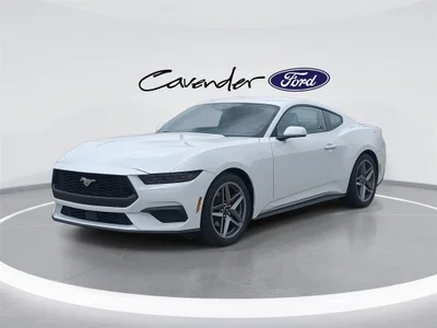 new 2025 FORD